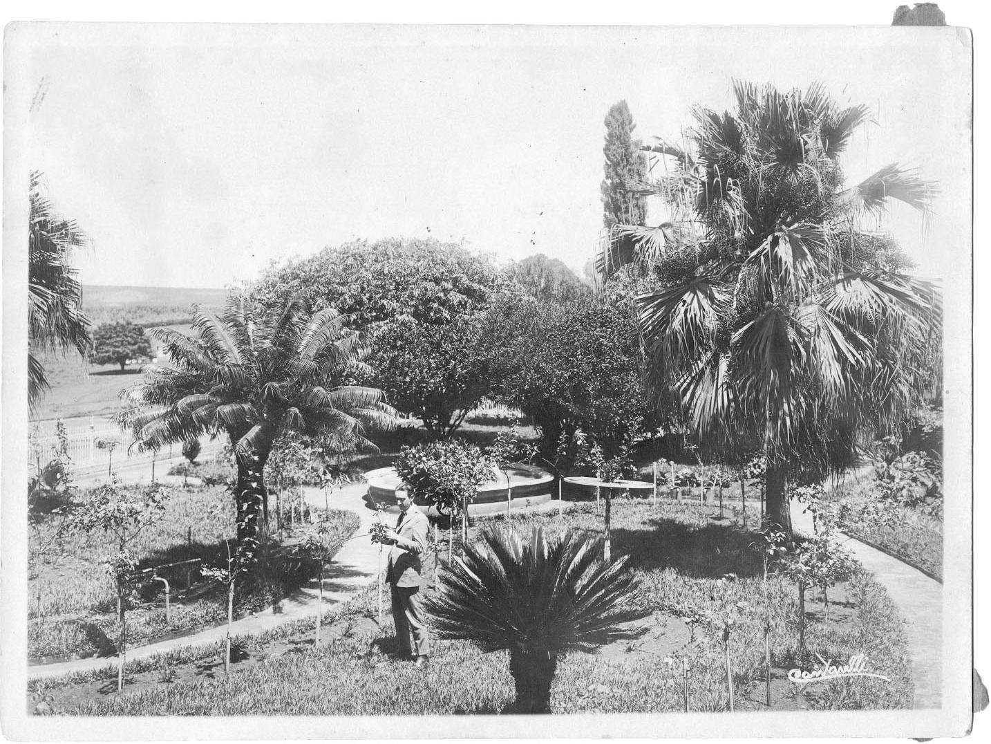 Jardim ao lado da casa Sede